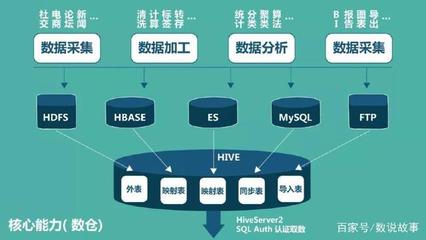 数说海纳 以精准数字处理为企业破局与赋能